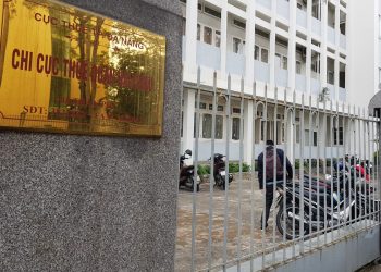 Ngồi ở Đà Nẵng, làm ăn với Google nhận về 281 tỷ đồng