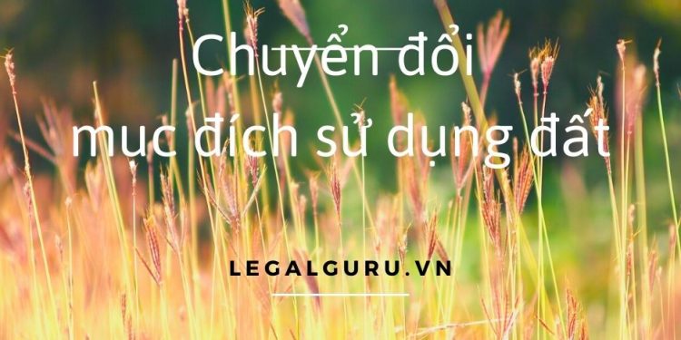 Chuyển đổi mục đích sử dụng đất