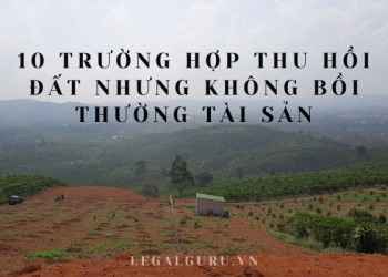 trường hợp thu hồi đất đai nhưng không bồi thường tài sản